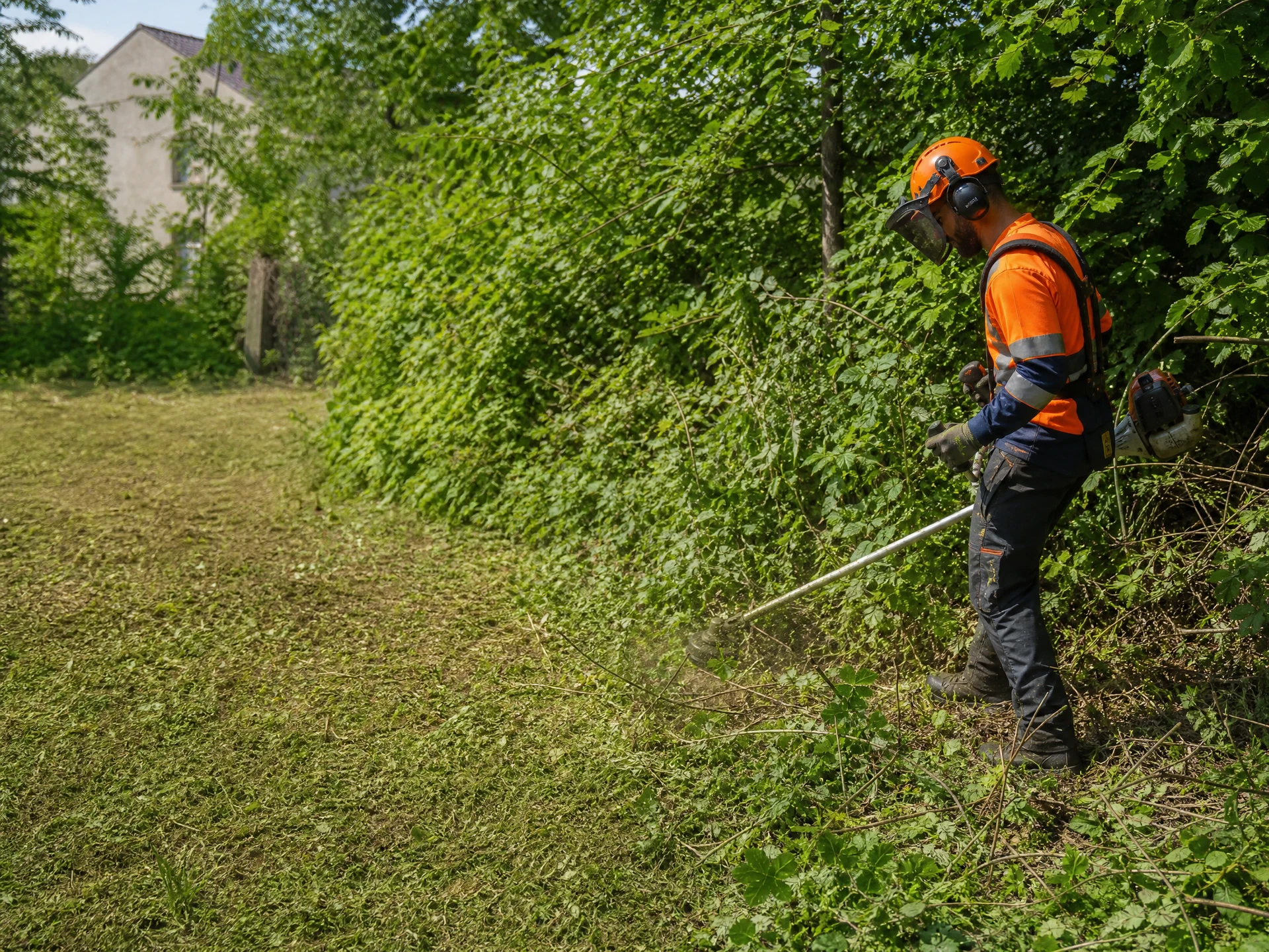 Débroussaillage professionnel d’un terrain végétalisé