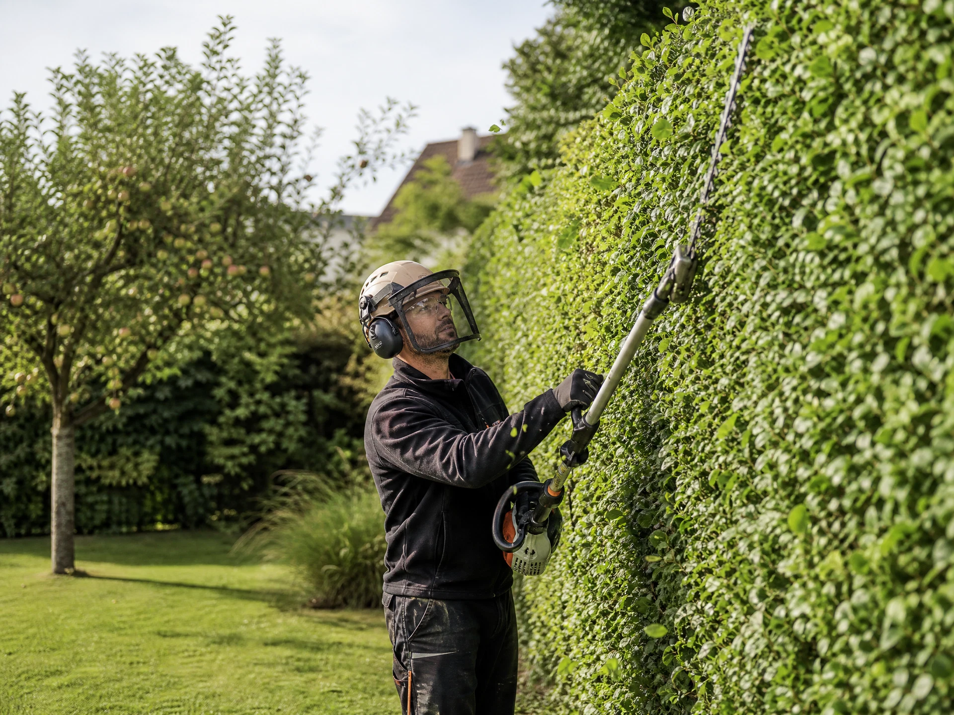Taille professionnelle d’une haie dans un jardin